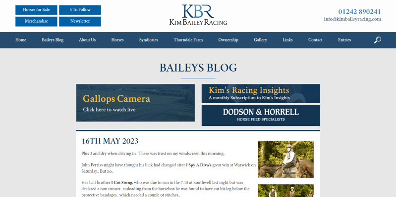 Kim Bailey Blog