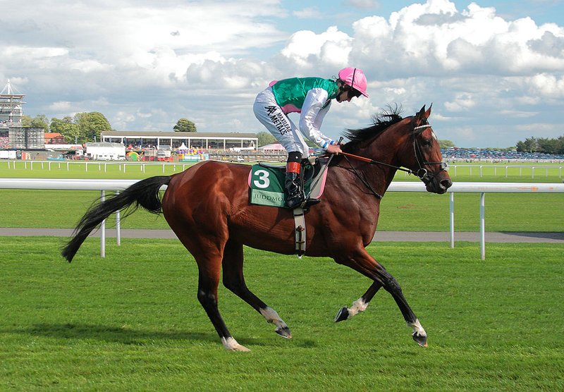 Frankel’s Best Offsping – Five Group 1 Winners Sired By Frankel