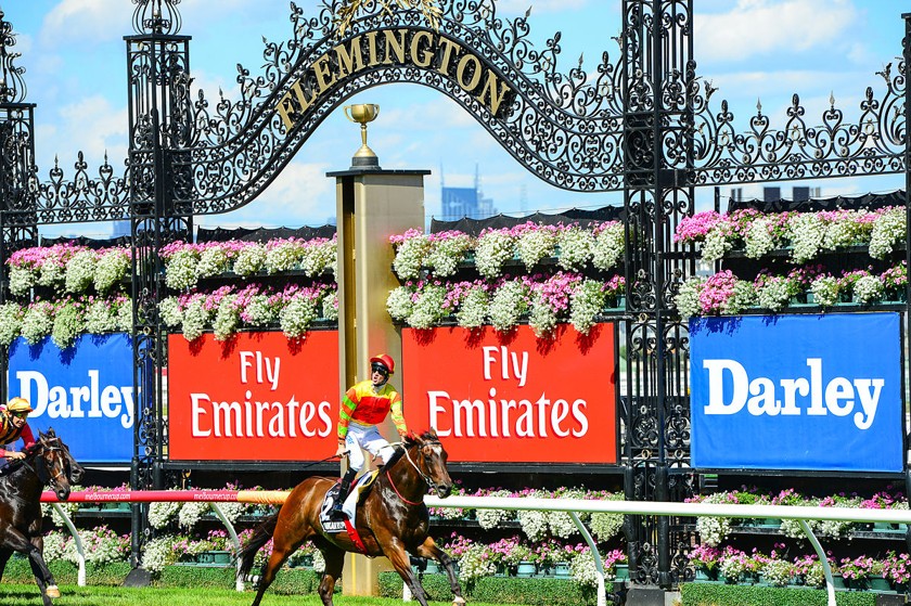 Melbourne Cup Runners & Riders For 2023